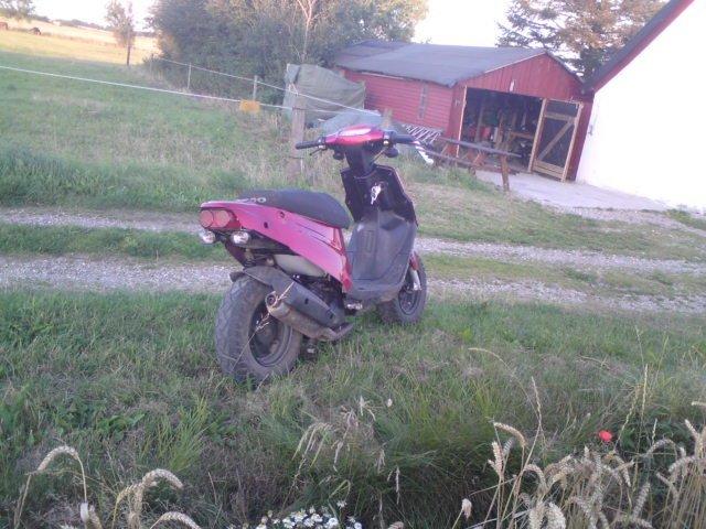 PGO Hot 50 billede 5