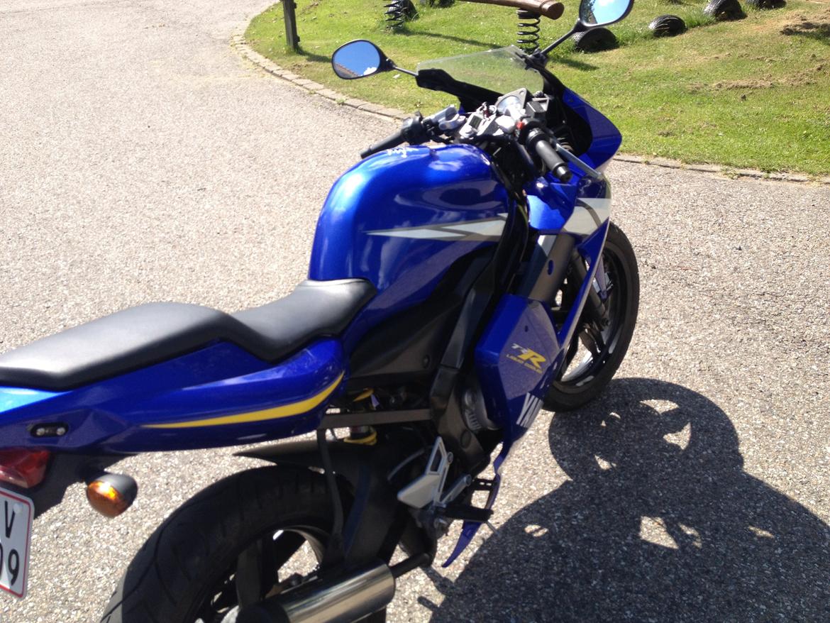 Yamaha Tzr Race Replica billede 17