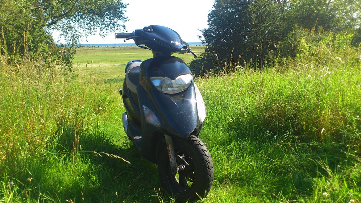 Honda sfx the black devil billede 4