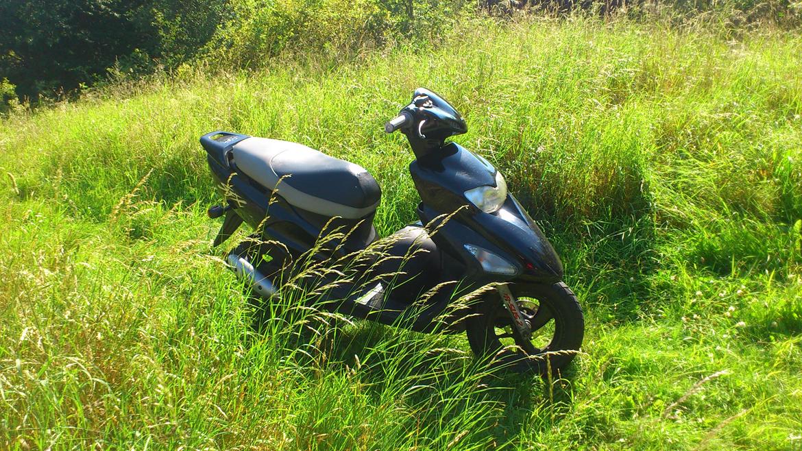 Honda sfx the black devil billede 5