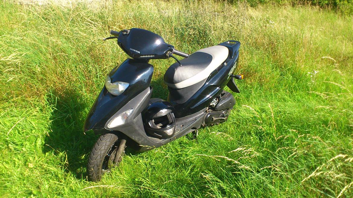 Honda sfx the black devil billede 6