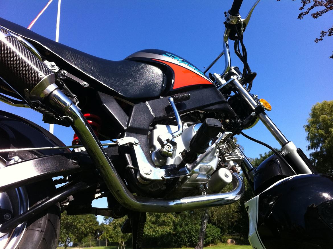 Skyteam pbr billede 2