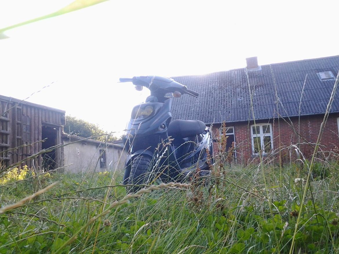 PGO HOT 50 billede 4