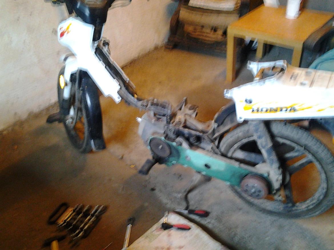 Honda wallaro billede 3