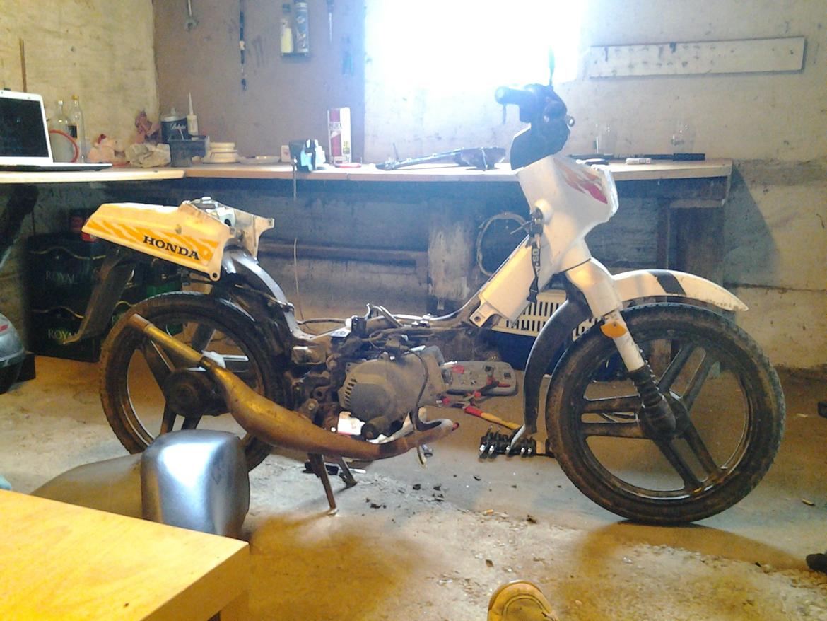 Honda wallaro billede 2