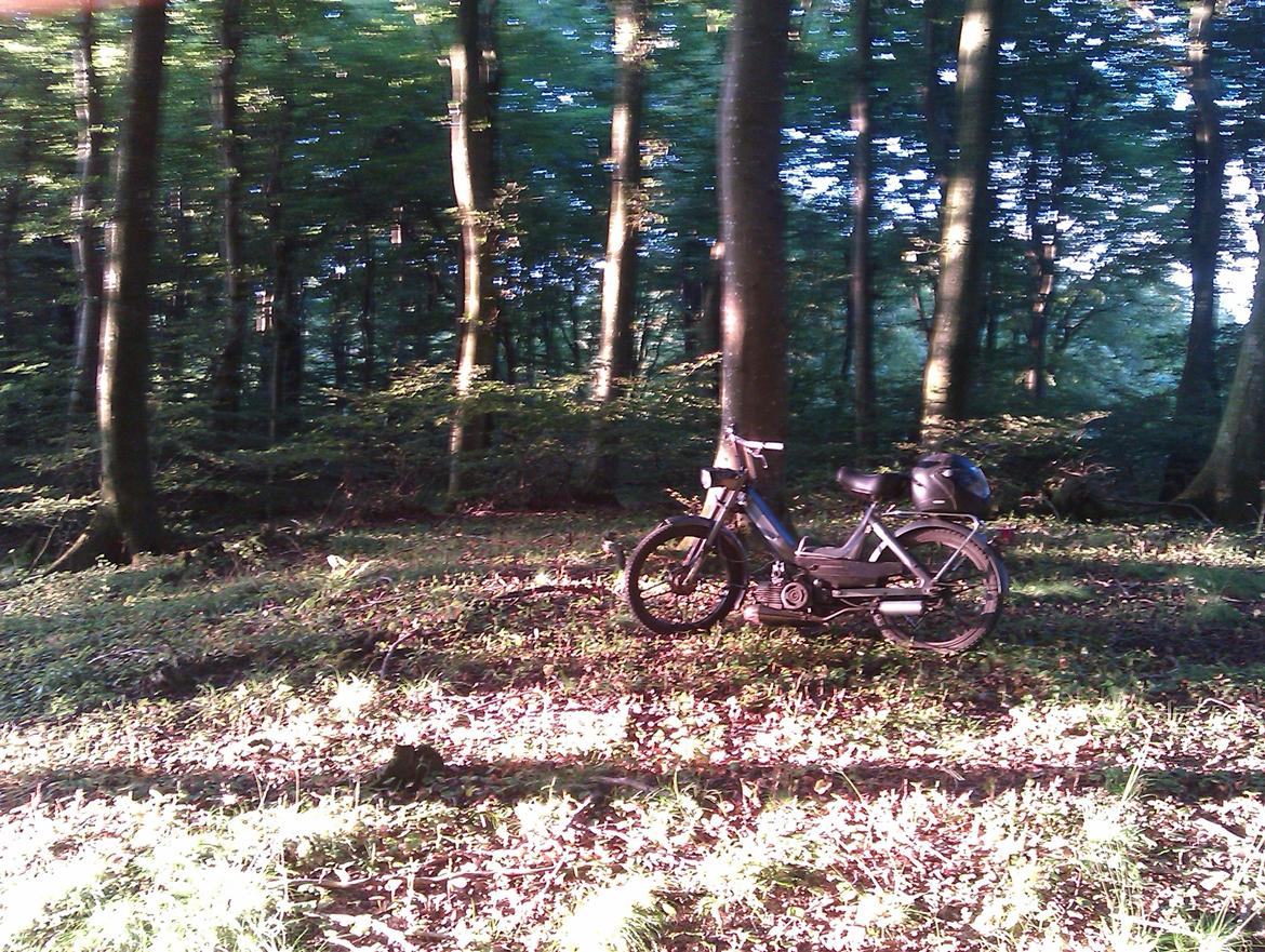 Puch Maxi K "solgt" billede 4