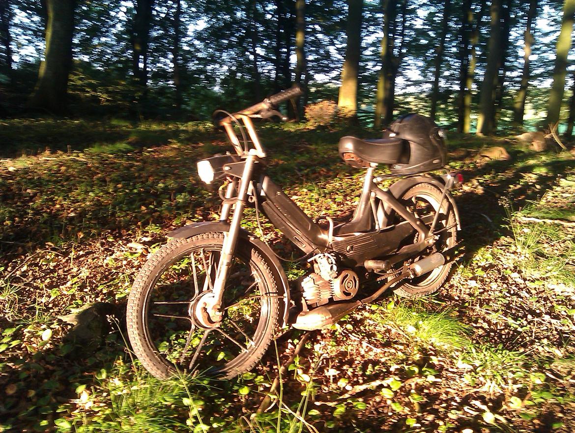 Puch Maxi K "solgt" billede 7