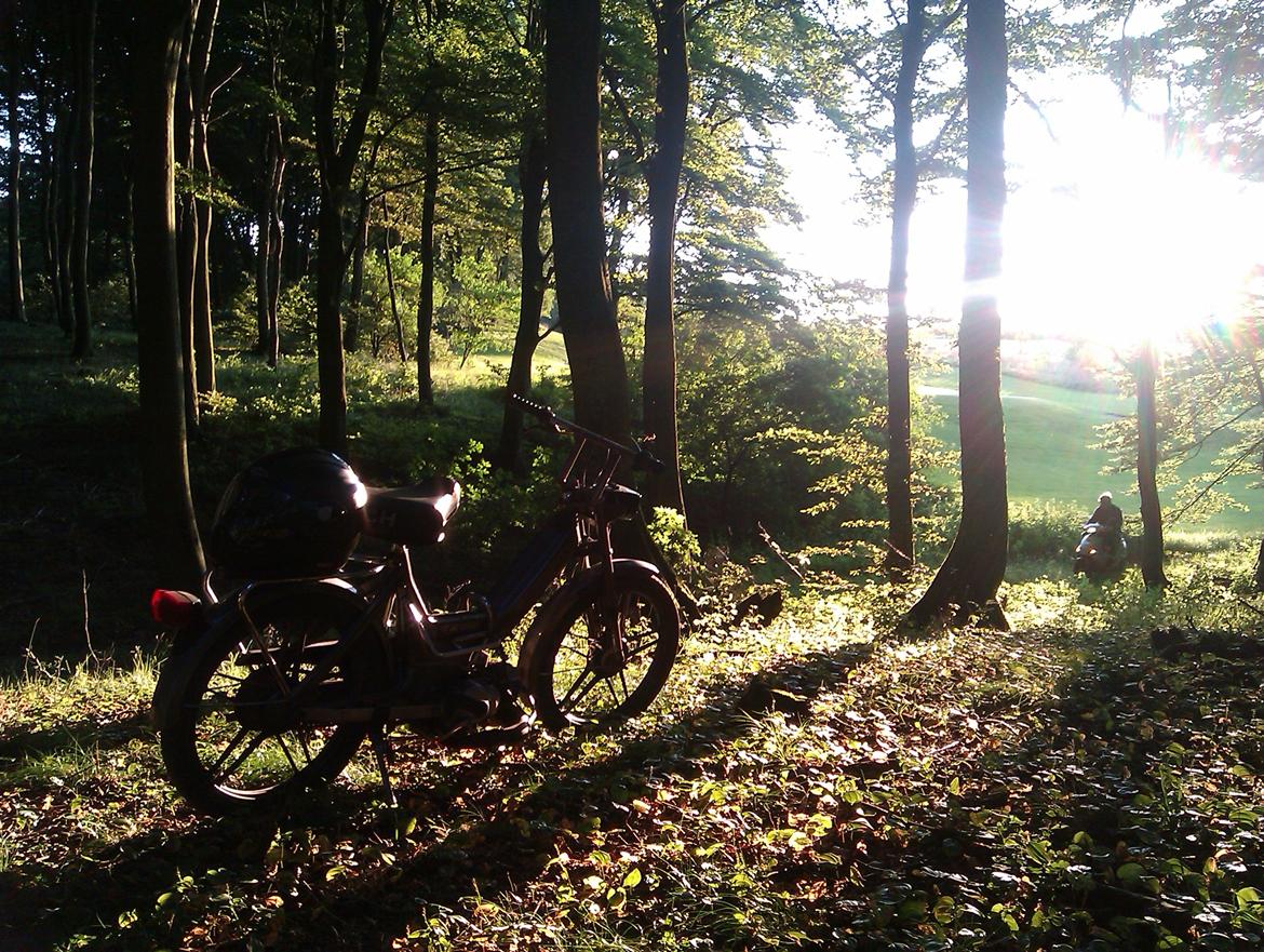 Puch Maxi K "solgt" billede 9