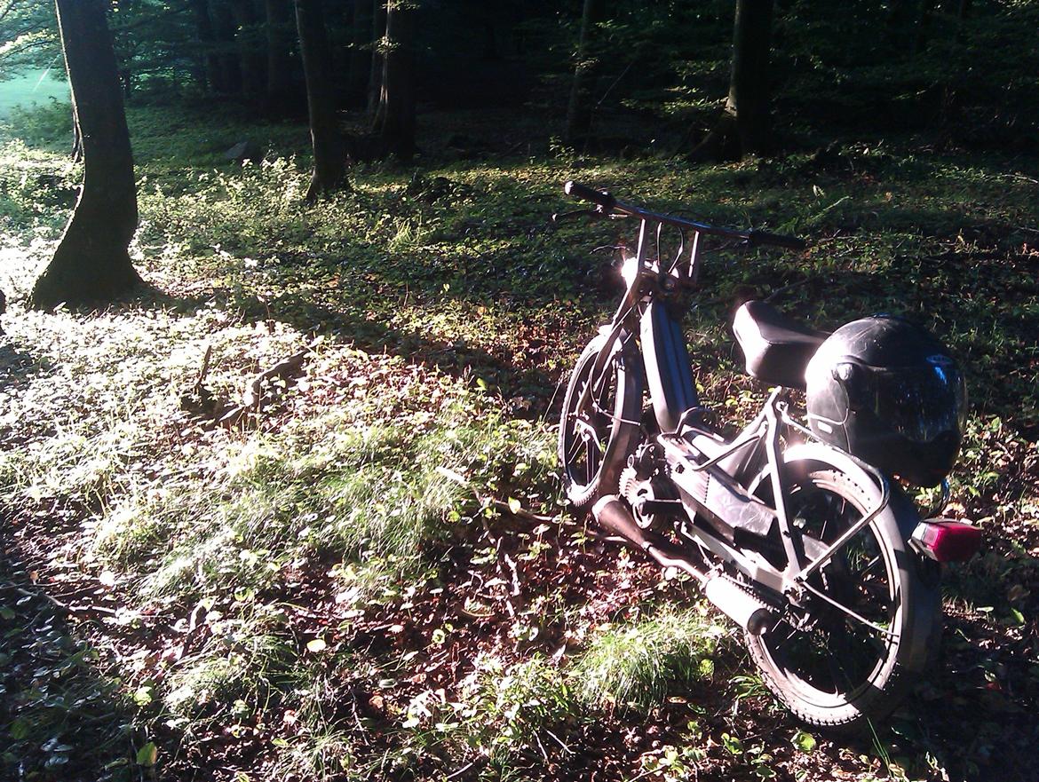 Puch Maxi K "solgt" billede 10