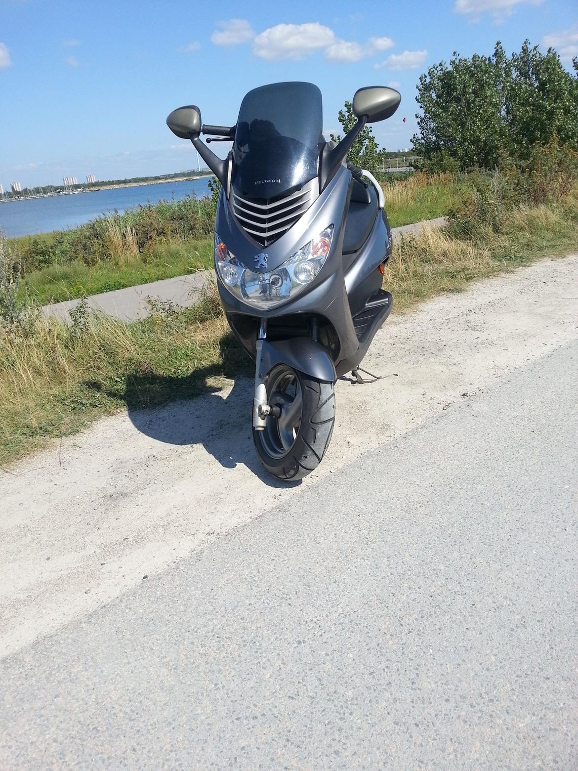 Peugeot Elystar billede 9