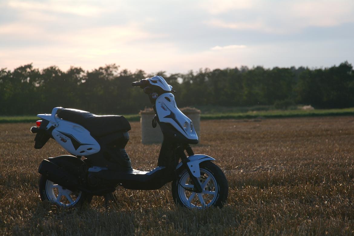 PGO PMX Sport billede 2