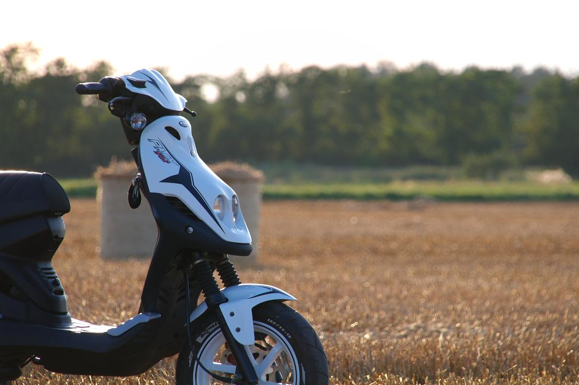 PGO PMX Sport billede 3
