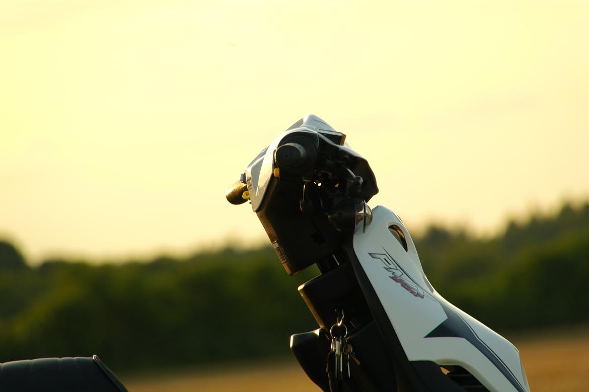 PGO PMX Sport billede 11