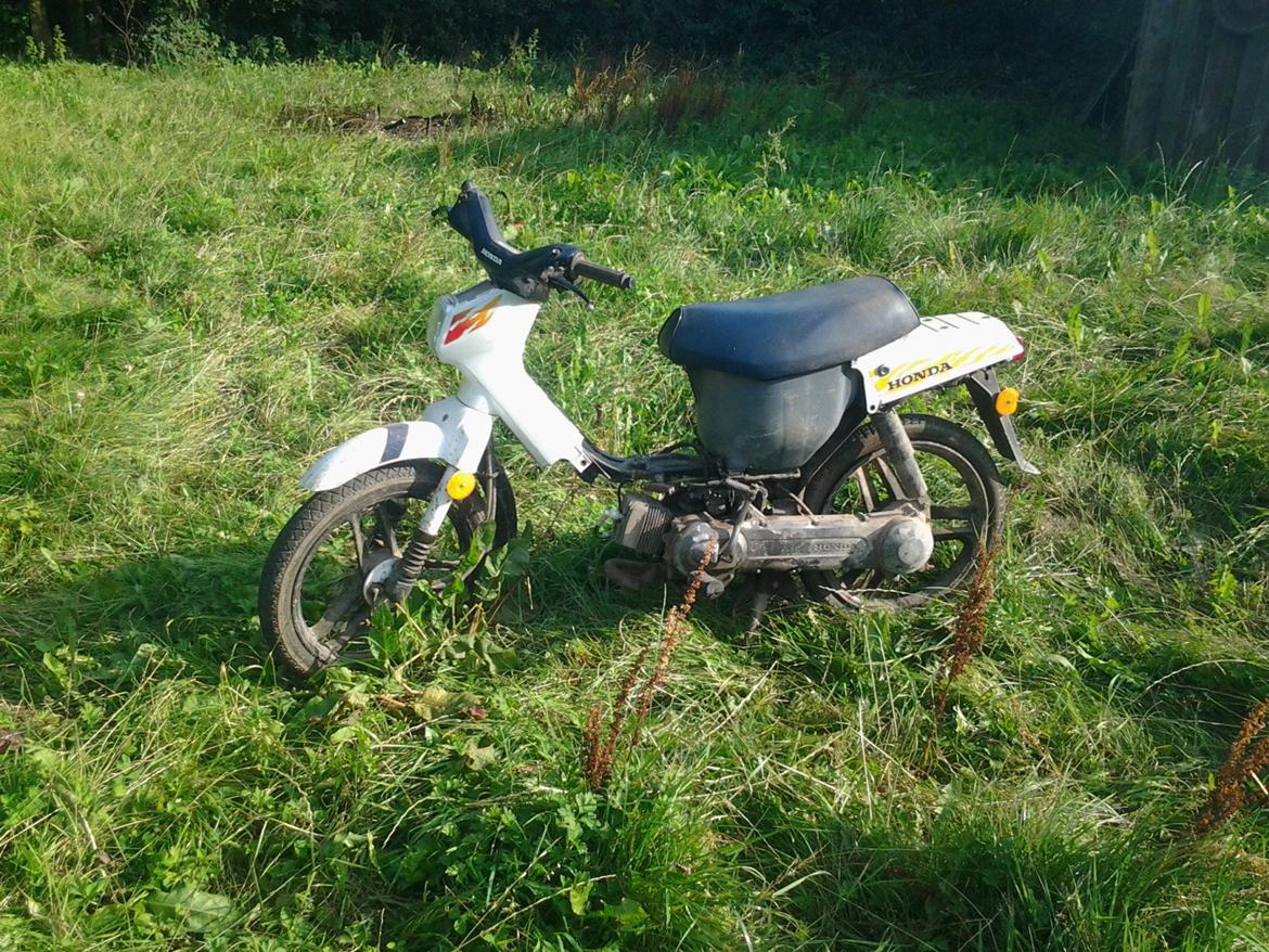 Honda wallaro billede 7