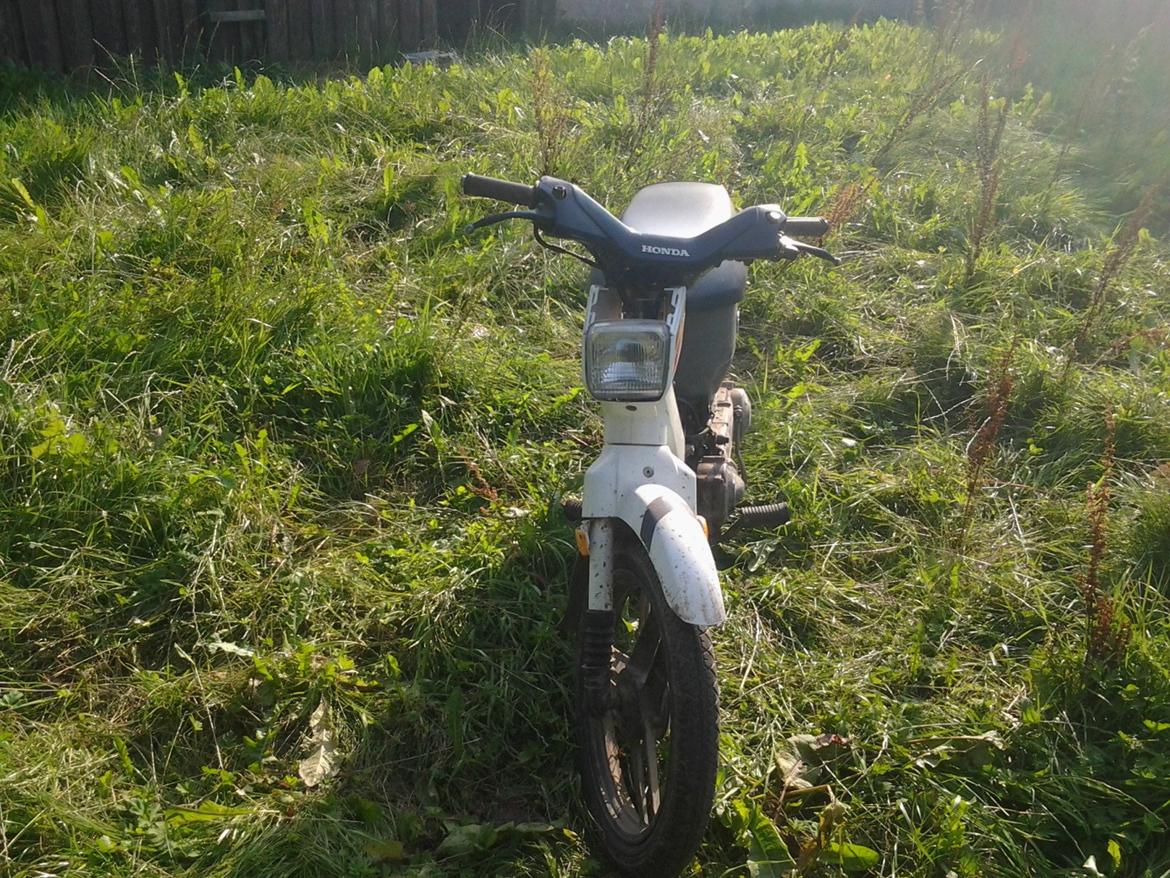 Honda wallaro billede 1