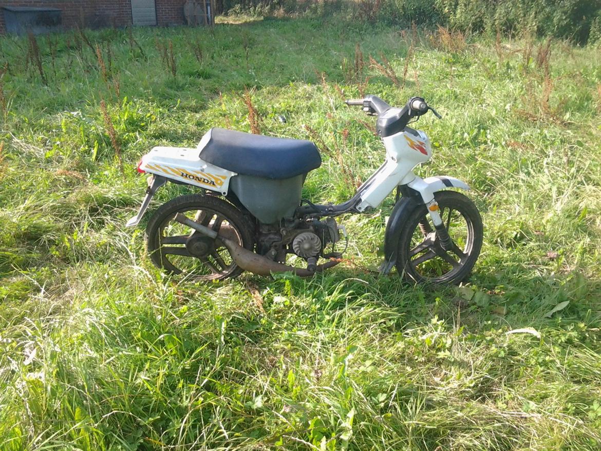 Honda wallaro billede 8