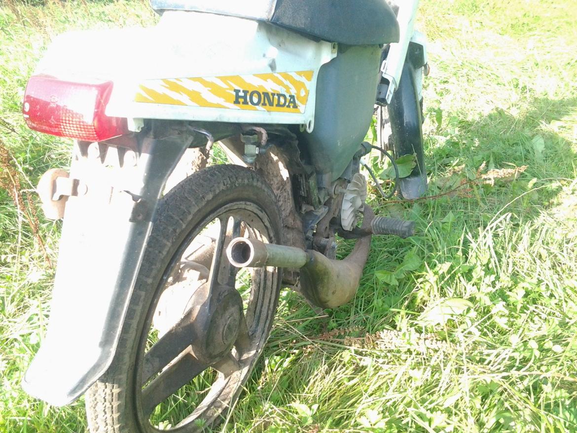 Honda wallaro billede 9