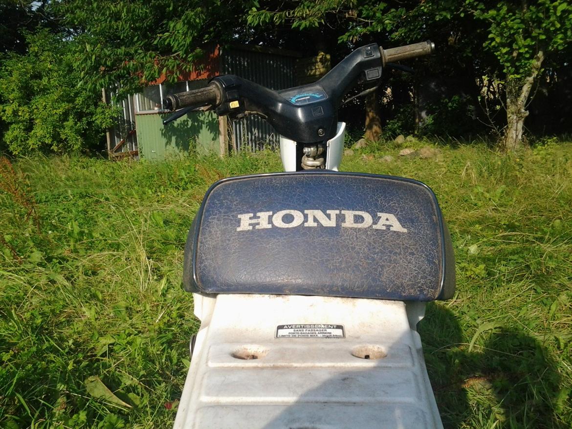 Honda wallaro billede 11