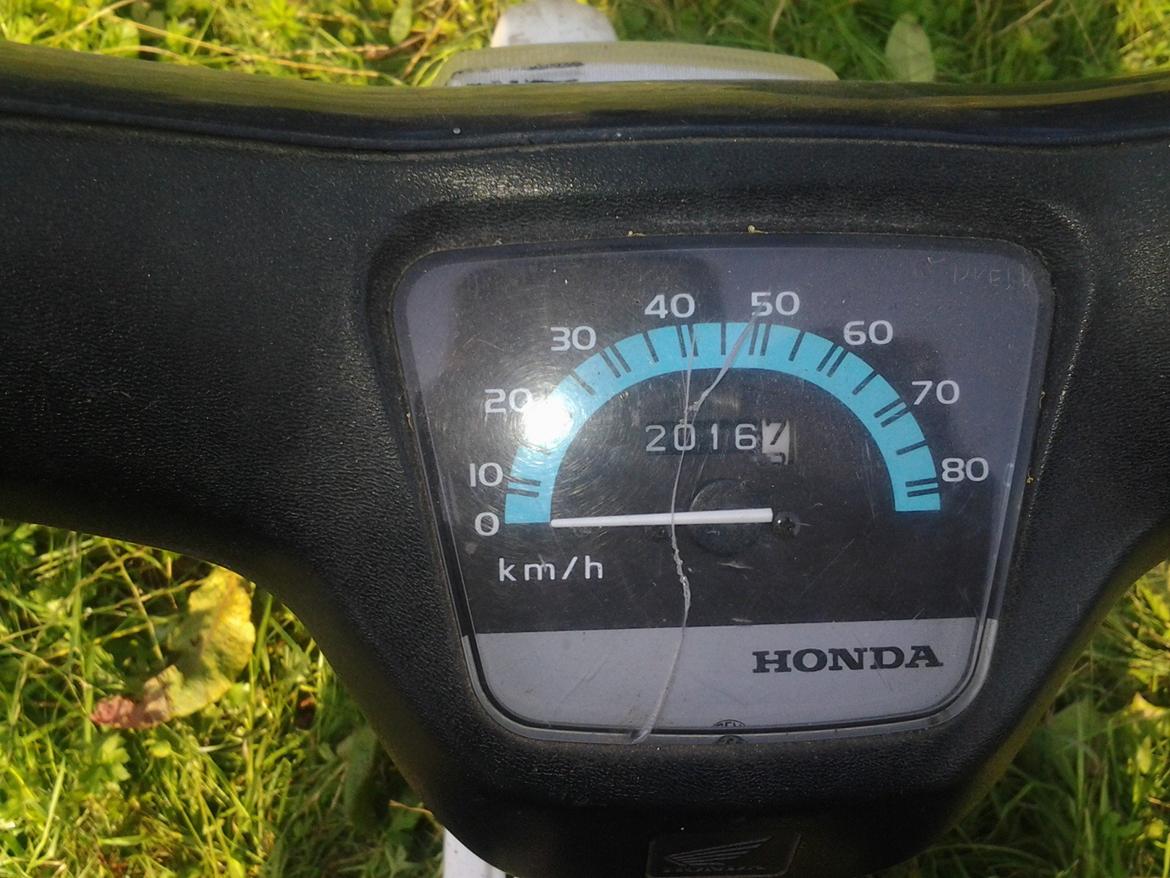 Honda wallaro billede 12