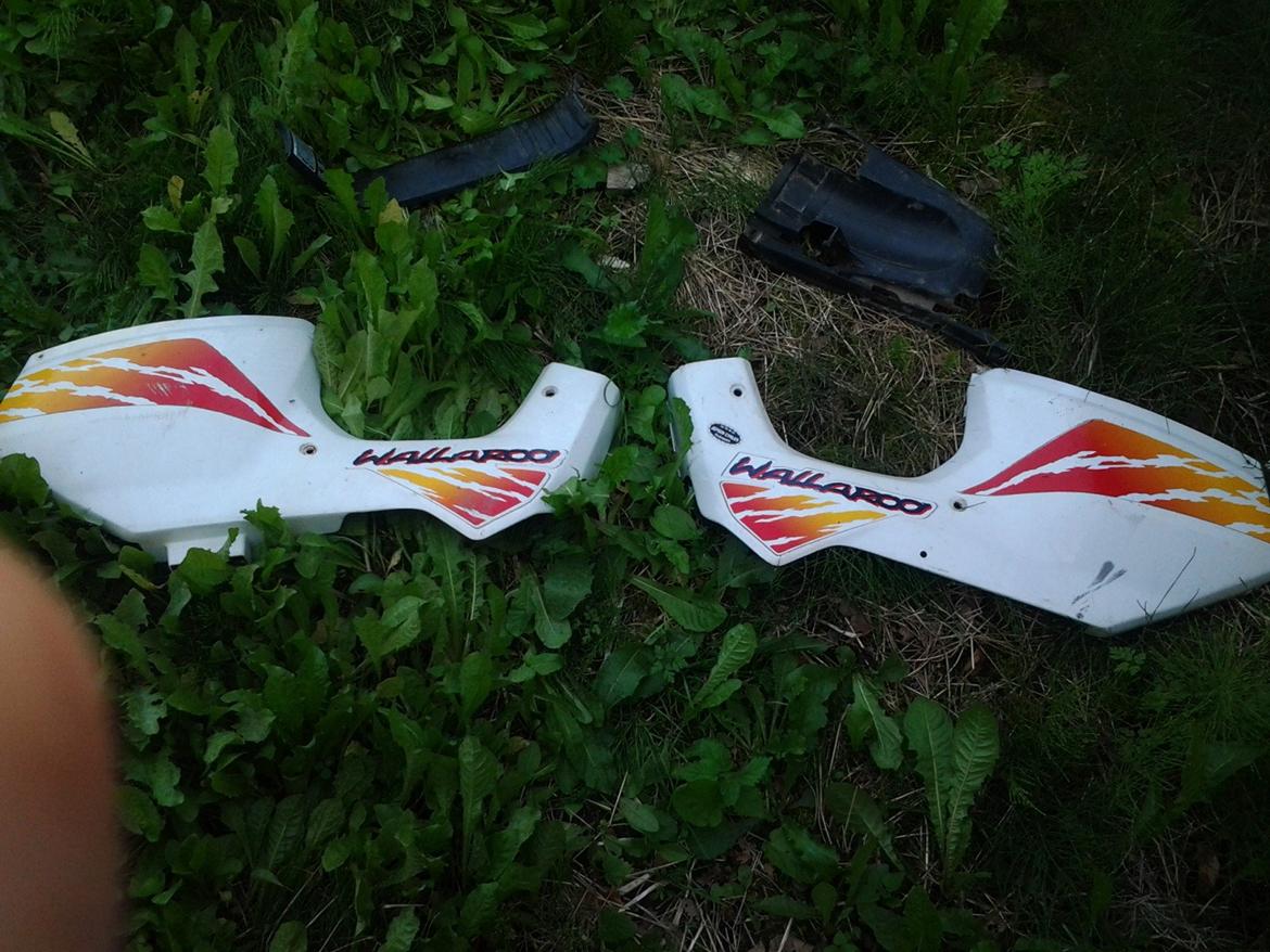 Honda wallaro billede 13