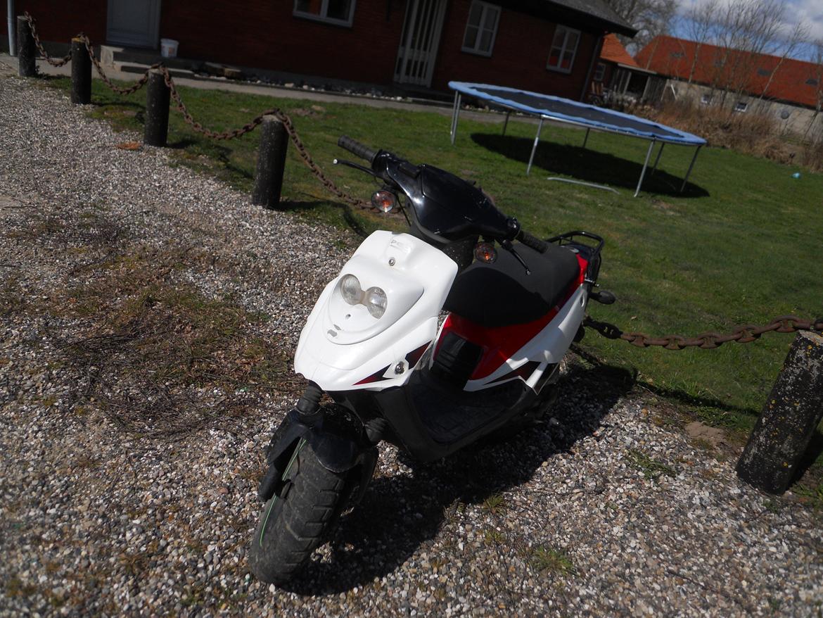 PGO hot 50 billede 7