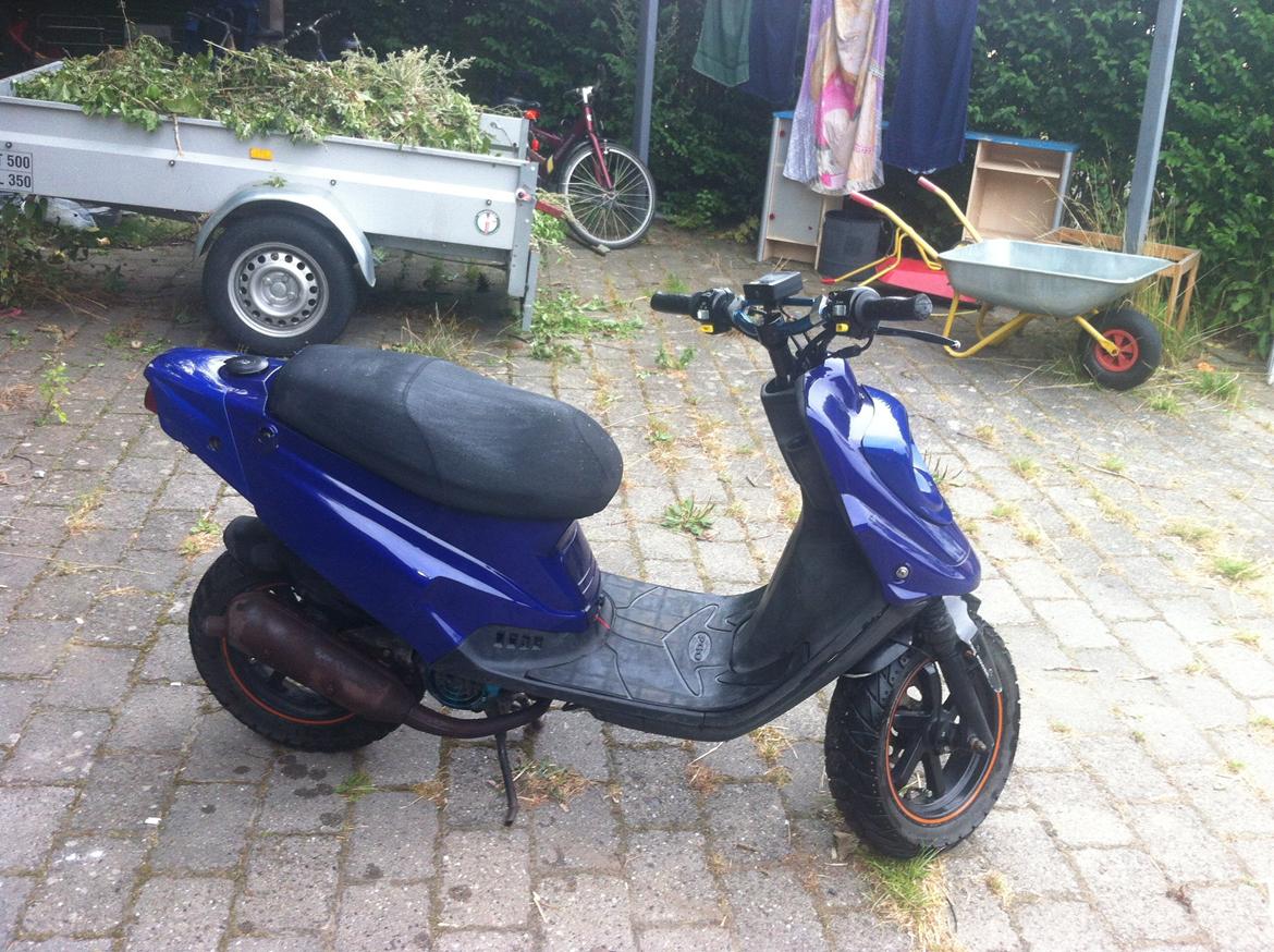 PGO Hot50 Sp billede 8