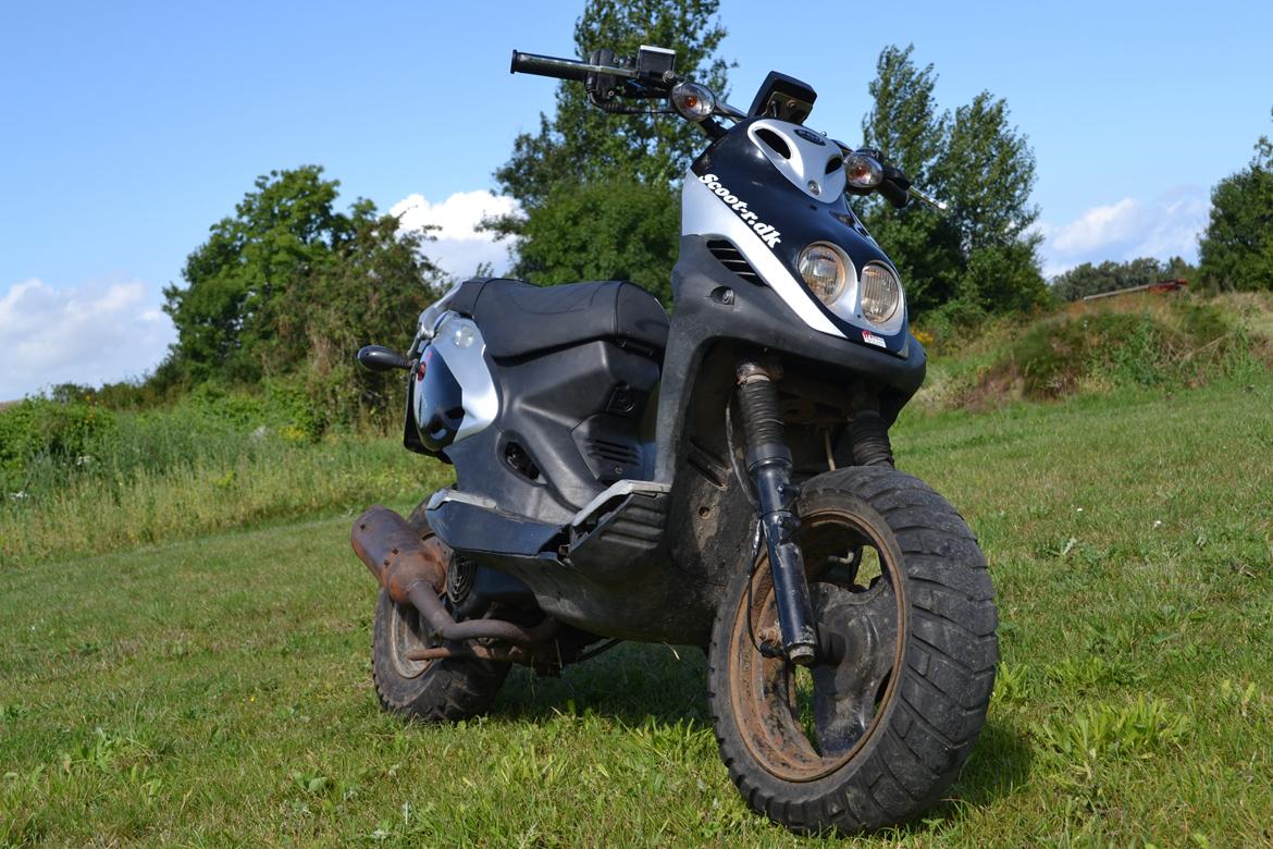 PGO PMX Naked - FØR! billede 10