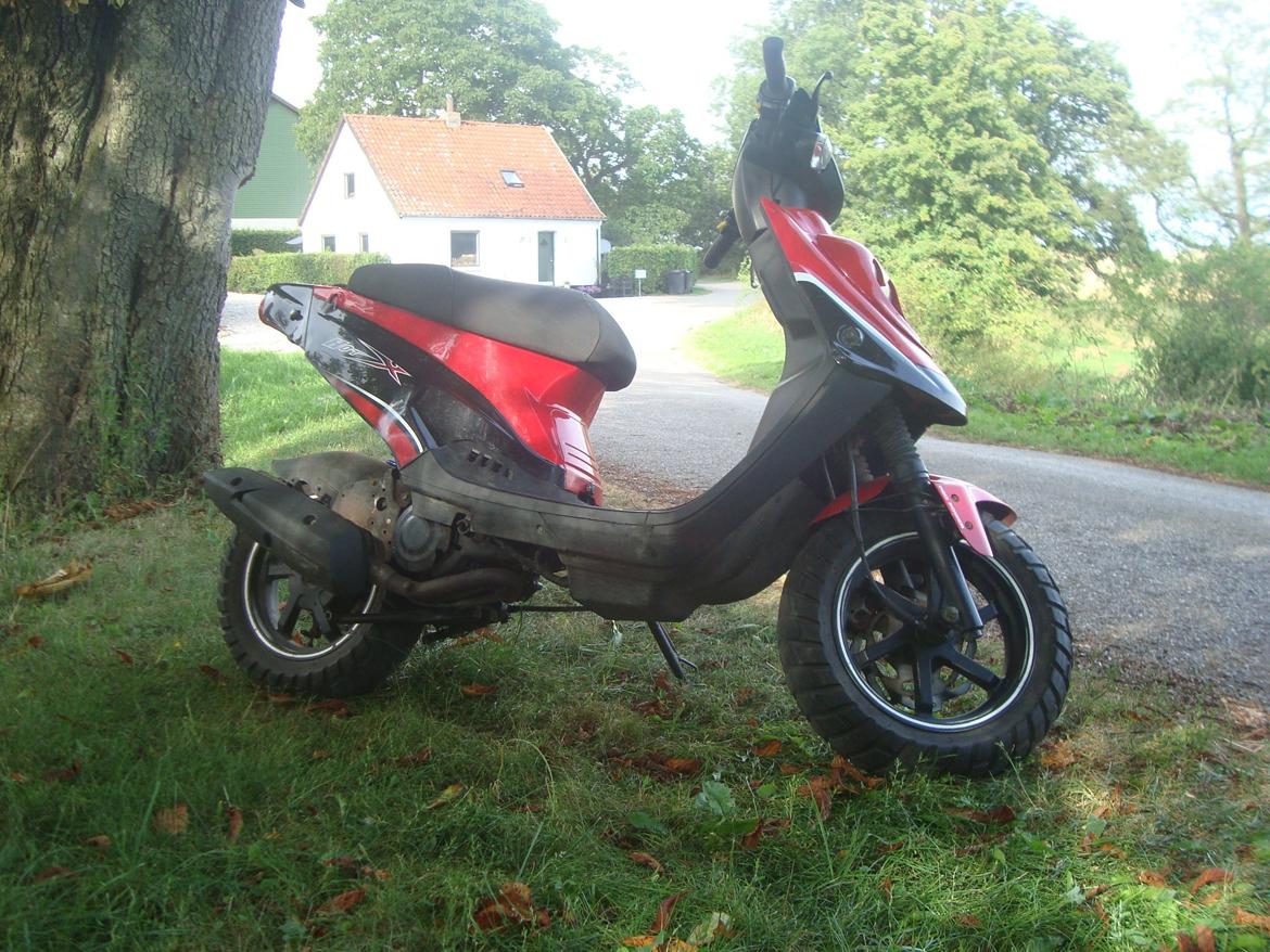 PGO Hot 50 billede 3