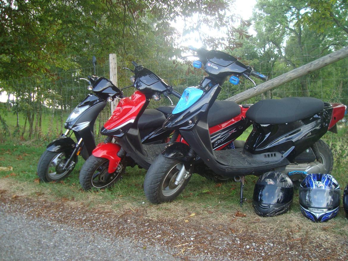 PGO Hot 50 billede 6