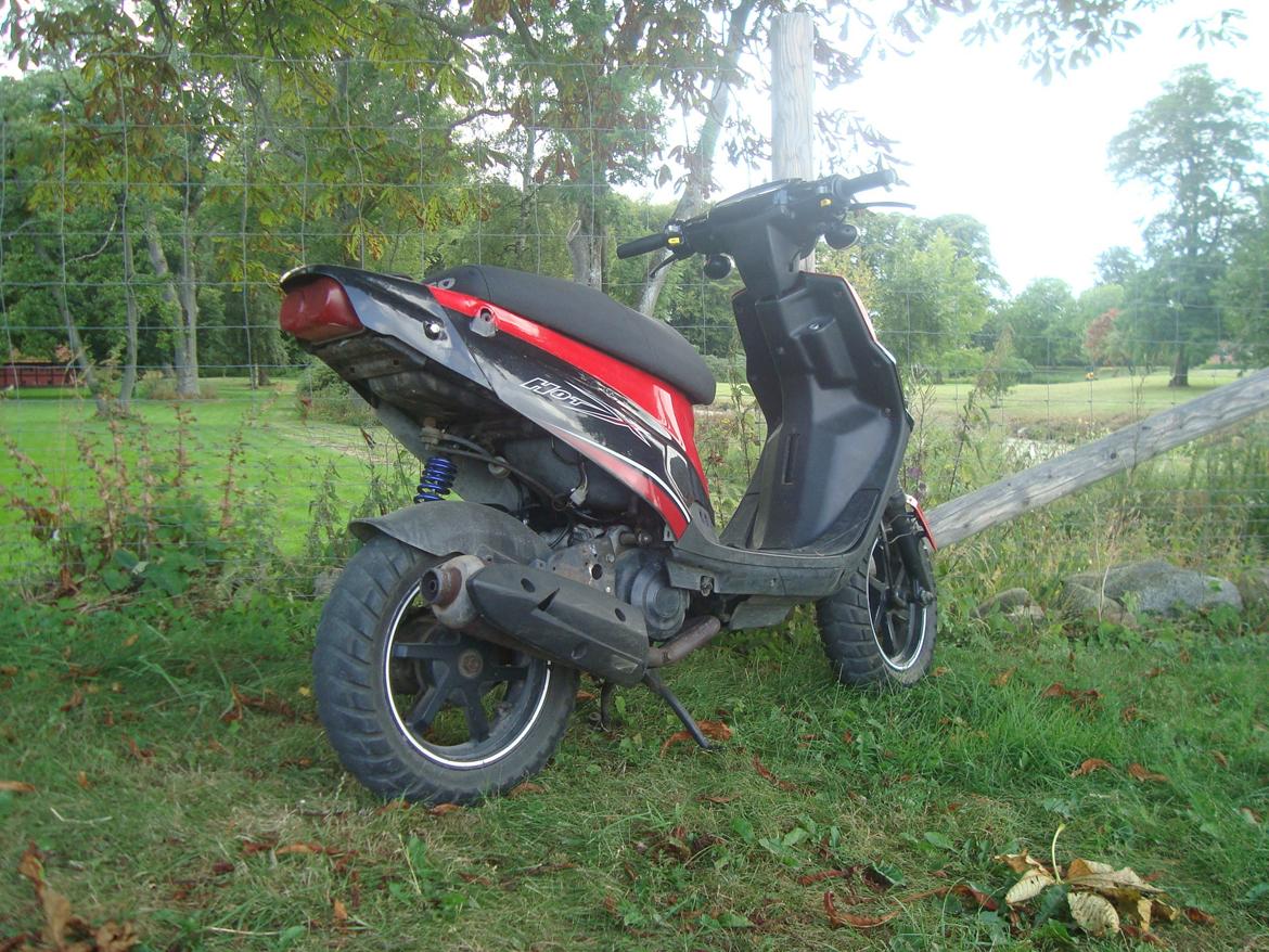 PGO Hot 50 billede 7