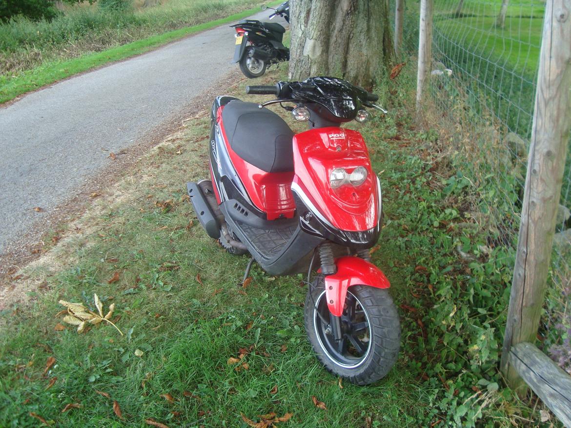 PGO Hot 50 billede 8