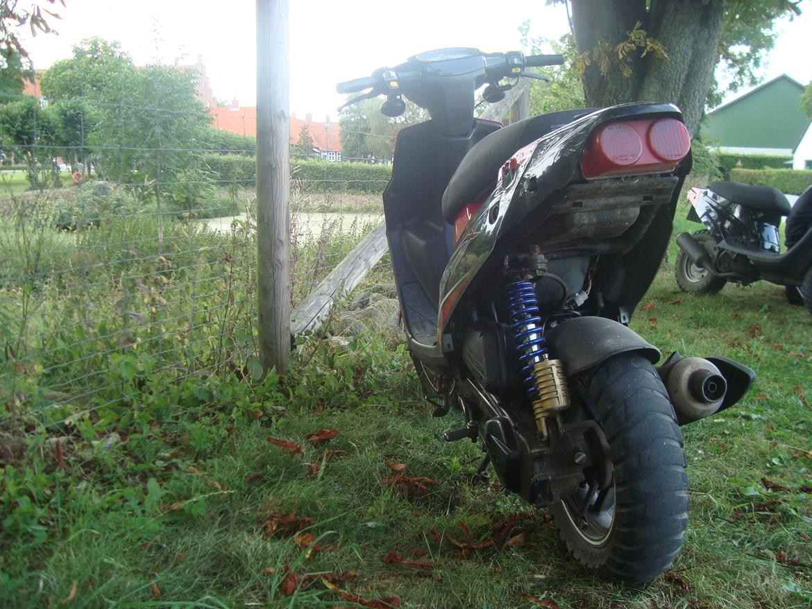 PGO Hot 50 billede 10