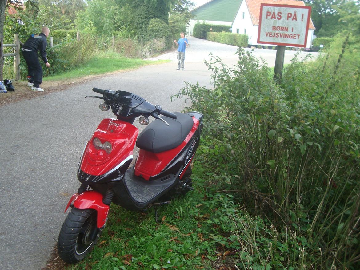 PGO Hot 50 billede 13