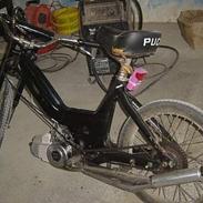 Puch mAxI SOLGt