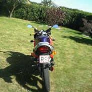 Aprilia RS 50