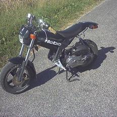 Suzuki street magic SOLGT