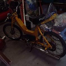 Puch        Maxi  [SOLGT]