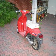 Honda Melody - TIL SALG