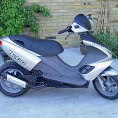 Benelli 491 ST Byttet til BWS NG