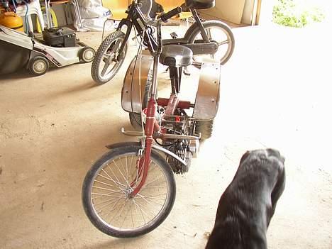 Puch 3hjulet dragster(Skrodet) billede 7