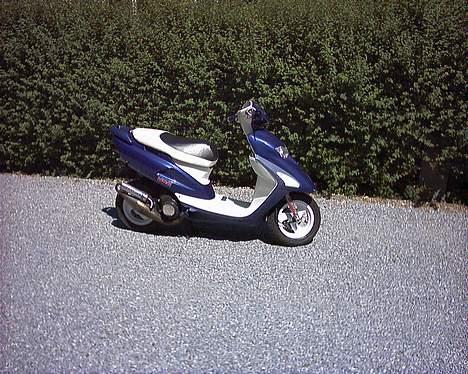 Honda Sfx - repsol - Solgt billede 9