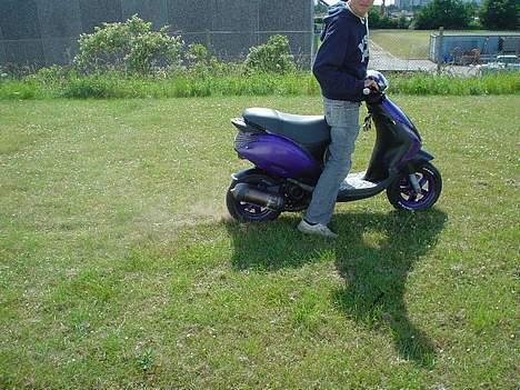 Piaggio Zip  billede 6