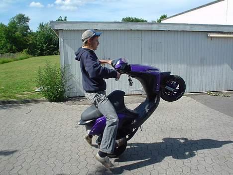 Piaggio Zip  billede 7