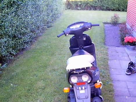 Honda sfx (Gamle billeder) - 5 billede 5