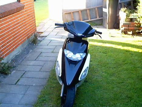 Honda sfx (Gamle billeder) - 7 billede 7