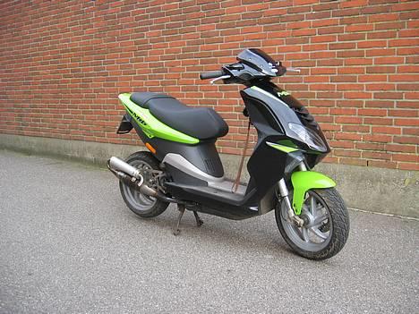 Piaggio NRG Power DT @ Yasuni - In the alley of bramming.. :D billede 2