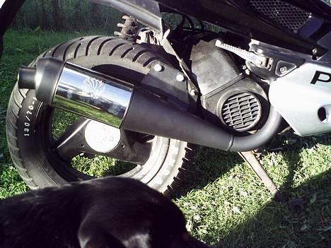 Peugeot Speedfight 2 AC  SOLGT - Den nye kundo udstødning billede 12