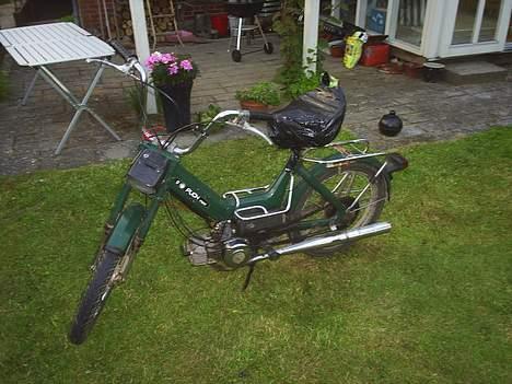 Puch maxi byttet til monza - et billede af raceren billede 1