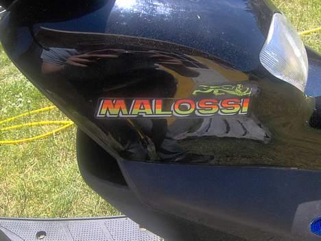 Honda sfx  solgt billede 10