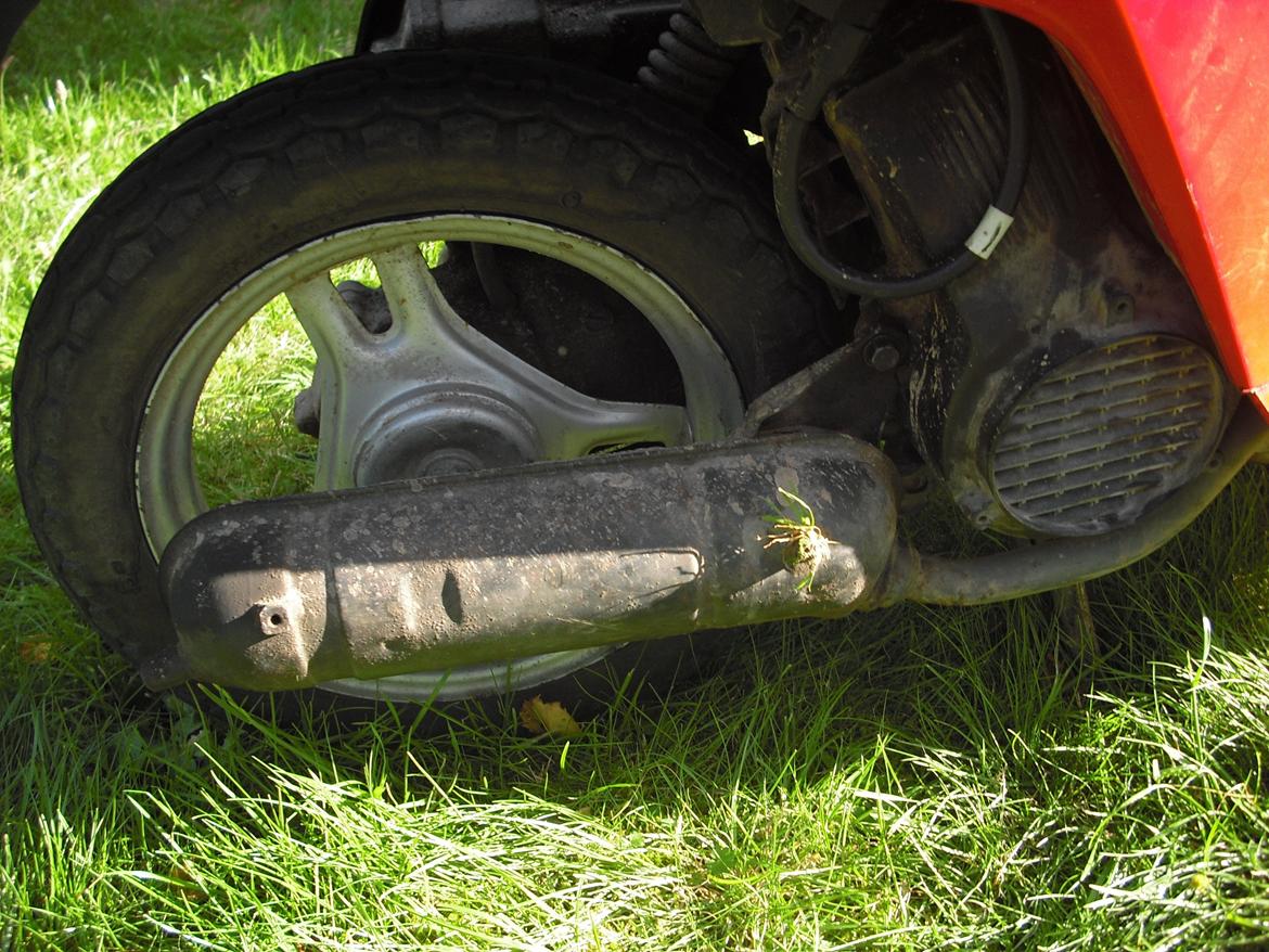 Honda Mini melody billede 6